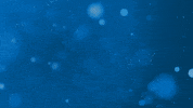 Technology Bitcoin GIF by Nexus