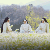 alison brie GIF by The Little Hours Movie