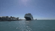 florida GIF