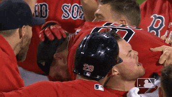 Regular Season Sport GIF by MLB
