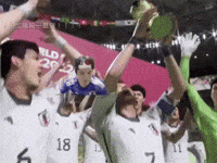 World Cup Champion GIF