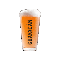 Guayacán Schop Ipa Sticker by Cerveza Guayacán