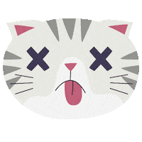 Cat Omg Sticker
