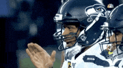 National Football League Playoffs GIF by NFL