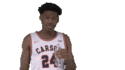 Water Cnmb Sticker by Carson-Newman Athletics