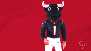 Deshaun Watson Nfl GIF by Houston Texans