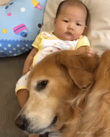 Baby and Dog are the Best of Friends