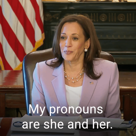 My pronouns are she and her.