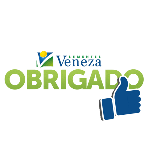 sementesveneza giphyupload sementes boa tarde boatarde Sticker