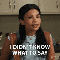 Sarahrafferty GIF by NETFLIX