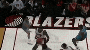 charlotte hornets dunk GIF by NBA