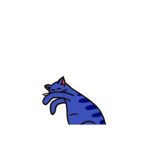 Cat Sticker