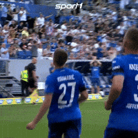 Tsg Hoffenheim Soccer GIF by SPORT1