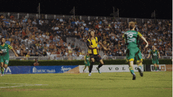 Usl Championship Goal GIF by Charleston Battery