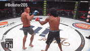 here you go martial arts GIF by Bellator
