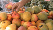 Costa Rica Hand GIF by jorgemariozuleta