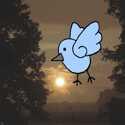 Bird Clouds GIF by Trevor Anderson