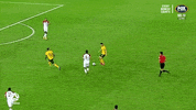 GIF by Football Australia