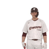 키움히어로즈 Sticker by Kiwoom Heroes Baseball Club