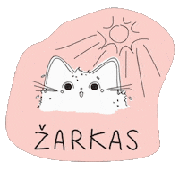 Enteragency_lt hot cat summer pink Sticker