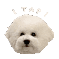 Wataamekun Sticker