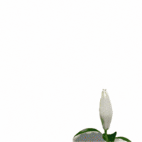 Ontario Apprendre GIF by AFÉSEO