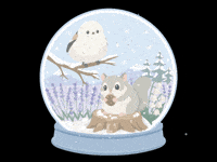 0ox0xo0 snow momonga shimaenaga GIF