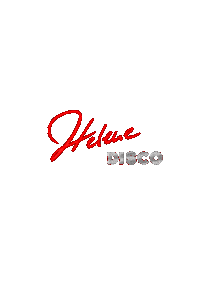 Helene Disco Sticker by vida.promo