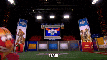 Let The Puppy Bowl Begin!