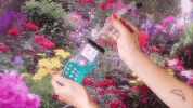 video art GIF by Zita Nagy