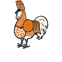 Hahn Sticker