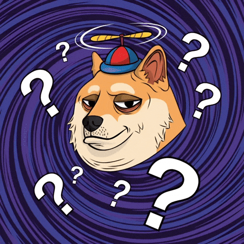 Shiba Inu What GIF by Doge Pound
