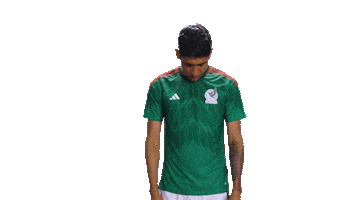 World Cup Futbol Sticker by MiSelecciónMX