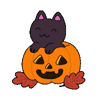 Cat Halloween Sticker