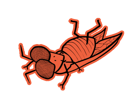 JohnnyMacc giphyupload dance dancing giphystrobetesting Sticker