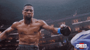 Fight Win GIF by Warner Bros. Deutschland