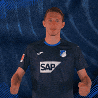 Sport Bundesliga GIF by TSG Hoffenheim