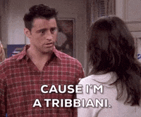 season 8 friends GIF