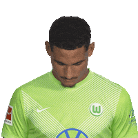 Vfl Wolfsburg Smile Sticker by Bundesliga