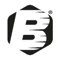 Logo Loop Sticker by Bestbodyit