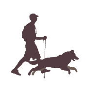 Hk9Uc Sticker by Tail Waggin'