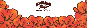 summer sun Sticker by HawaiianTropicUK