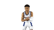 University Of Kansas Jayhawks Sticker by Kansas Athletics