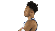University Of Kansas Jayhawks Sticker by Kansas Athletics