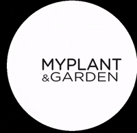 GIF by MYPLANT & GARDEN