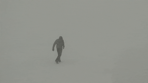 etats-unis blizzard GIF by BFMTV