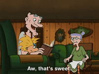 hey arnold nicksplat GIF