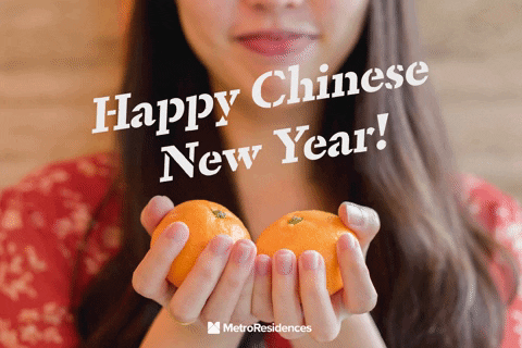 narenmetro giphygifmaker cny chinese new year mr cny 2020 GIF
