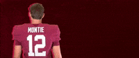 Football Roll Pards GIF by Lafayette Leopards