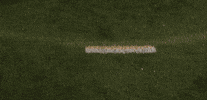 Lacrosse GIF by Lafayette Leopards